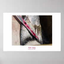 Contes de poissons posters