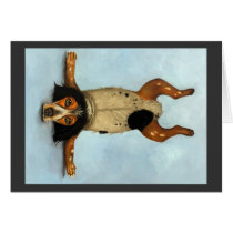 Contorsionniste canin cartes
