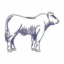 Contour de boeuf polos brodés