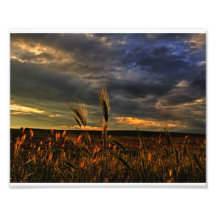 Conversation avec le vent  tirage photo
