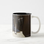 coordonnée de cavalier féminin de dressage sur le  tasse