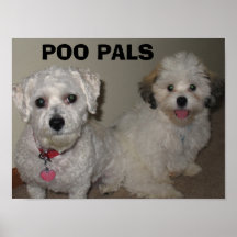 COPAINS DE POO POSTERS