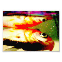 copie 5x7 d'art de deadfish " photo d’art