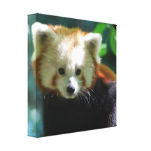 Copie adorable de toile de panda rouge toiles tendues