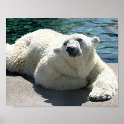 Copie arctique d'affiche d'ours blanc