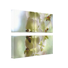 Copie balançante de toile d'orchidée toile tendue