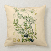 Copie botanique antique - prunellier coussin