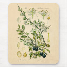 Copie botanique antique - prunellier tapis de souris