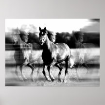 Copie courante d'affiche de cheval - affiches de c