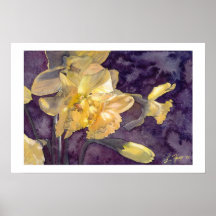 Copie d'affiche d'aquarelle de jonquilles de clair