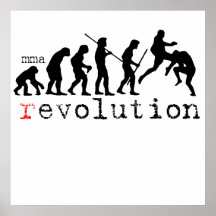 copie d'affiche de diagramme d'évolution du mixed 