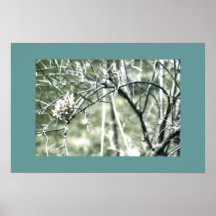 Copie d'affiche de Digitals de flore verte en bon 