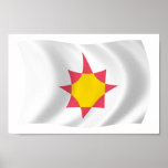 Copie d'affiche de drapeau de Novial