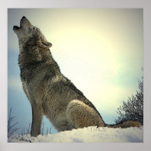 Copie d'affiche de loup d'hurlement