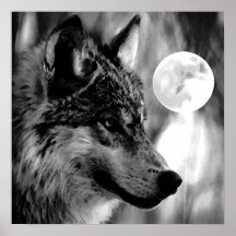 Copie d'affiche de loup gris et de lune