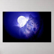 Copie d'affiche de loup gris et de lune - loups bl