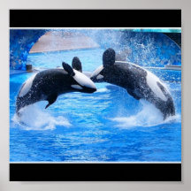 Copie d'affiche de photo de baleine