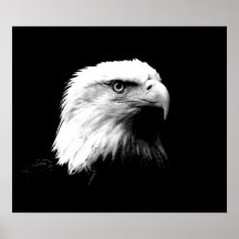 Copie d'affiche d'Eagle d'Américain d'Eagle chauve