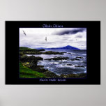 Copie d'affiche d'oiseaux d'île de Clare