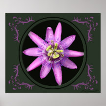 Copie d'art de fleur de passion posters