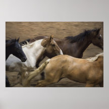 Copie de beaux-arts de chevaux sauvages poster