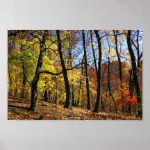 Copie de beaux-arts de feuillage d'automne posters