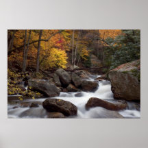 Copie de cascade d'automne affiches