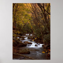 Copie de cascade d'automne posters