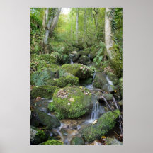 Copie de courant de région boisée posters