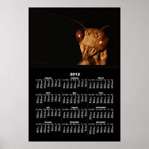 Copie de ~ de calendrier de la mante 15 posters