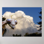 Copie de ~ de mante et de nuage posters