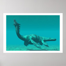 COPIE DE DRAGON DE MER POSTERS