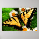 Copie de l'art 23 de papillon posters