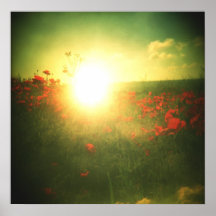 Copie de lever de soleil de pavot de Holga Poster