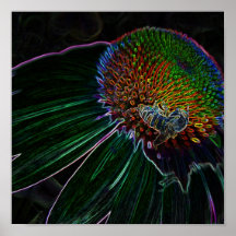 Copie de lueur d'abeille posters