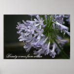 Copie de motivation de photo de beauté bleue d'Aga Posters