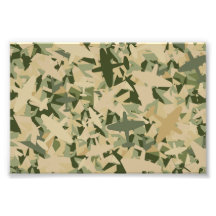 Copie de photo de camouflage de l'Armée de l'Air