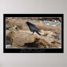 Copie de photo "de l'APPEL de RAVEN" Poster