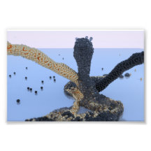 Copie de photo de mélange