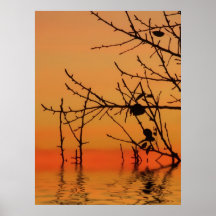 Copie de Photoart de ciel Poster