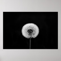 Copie de pissenlit posters