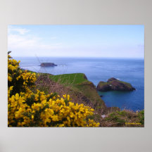 Copie de pont de corde de Carrick-a-Rede Affiches