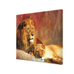 Copie de repos de toile de paires de lion toile tendue