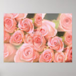 Copie de Rosebud Affiches
