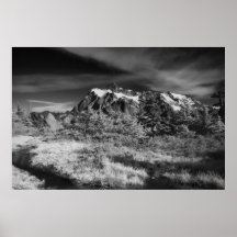 Copie de Shuksan de bâti Affiche