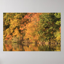 Copie de splendeur de chute poster