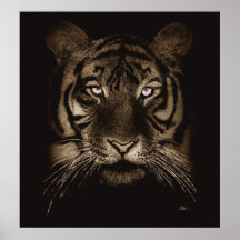 Copie de tigre affiche
