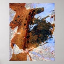 Copie de "Toadkill" Posters