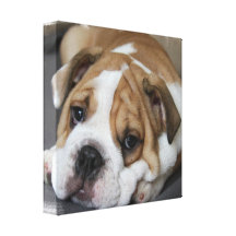 Copie de toile de bouledogue de sommeil impression sur toile