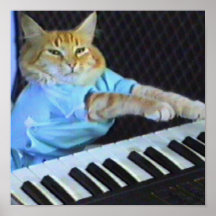 Copie de toile de chat de clavier ! posters